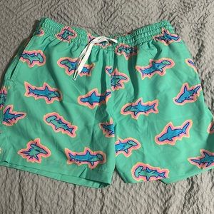 Medium size Chubbie swim shorts
